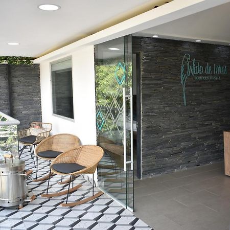 Hostel Boutique Nido De Loros Medellín Dış mekan fotoğraf