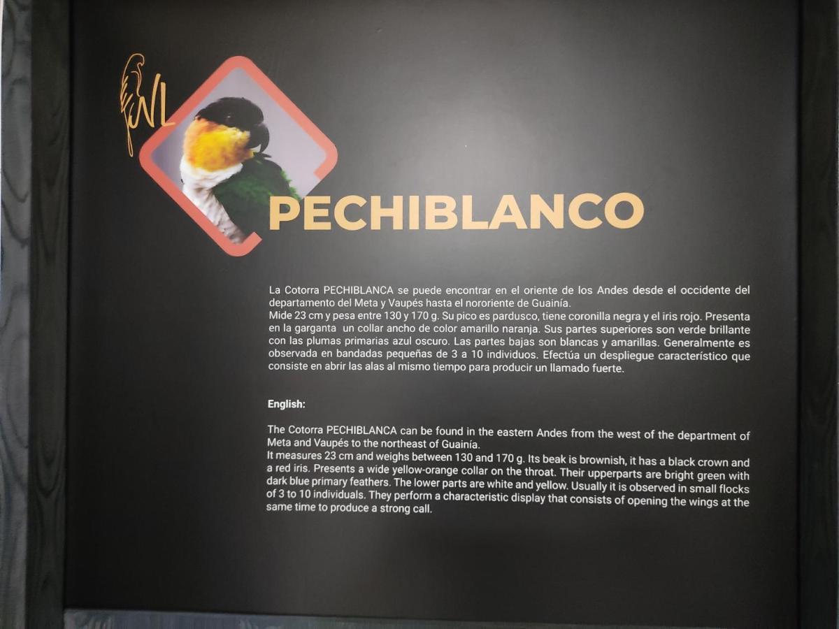 Hostel Boutique Nido De Loros Medellín Dış mekan fotoğraf