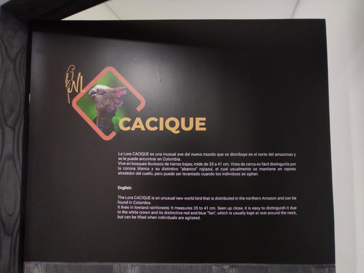 Hostel Boutique Nido De Loros Medellín Dış mekan fotoğraf