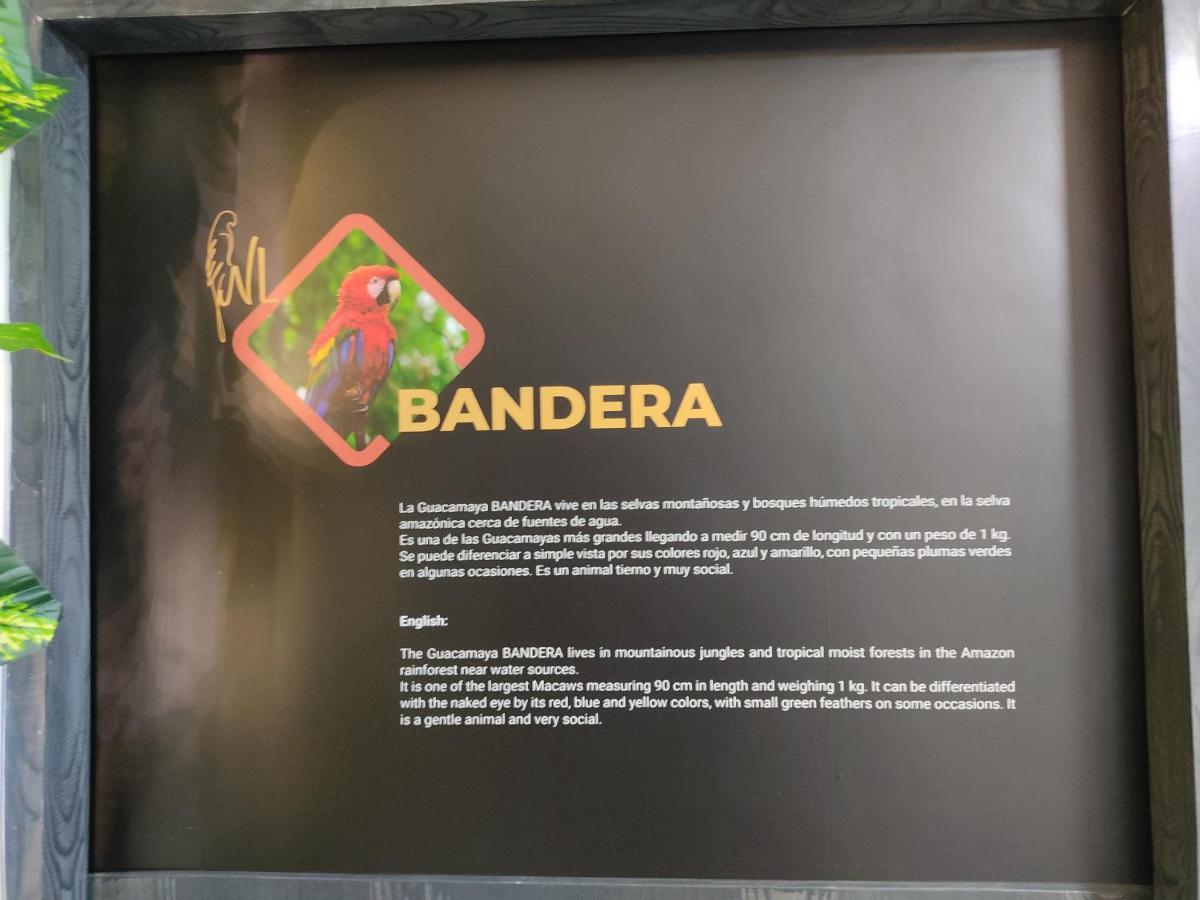Hostel Boutique Nido De Loros Medellín Dış mekan fotoğraf