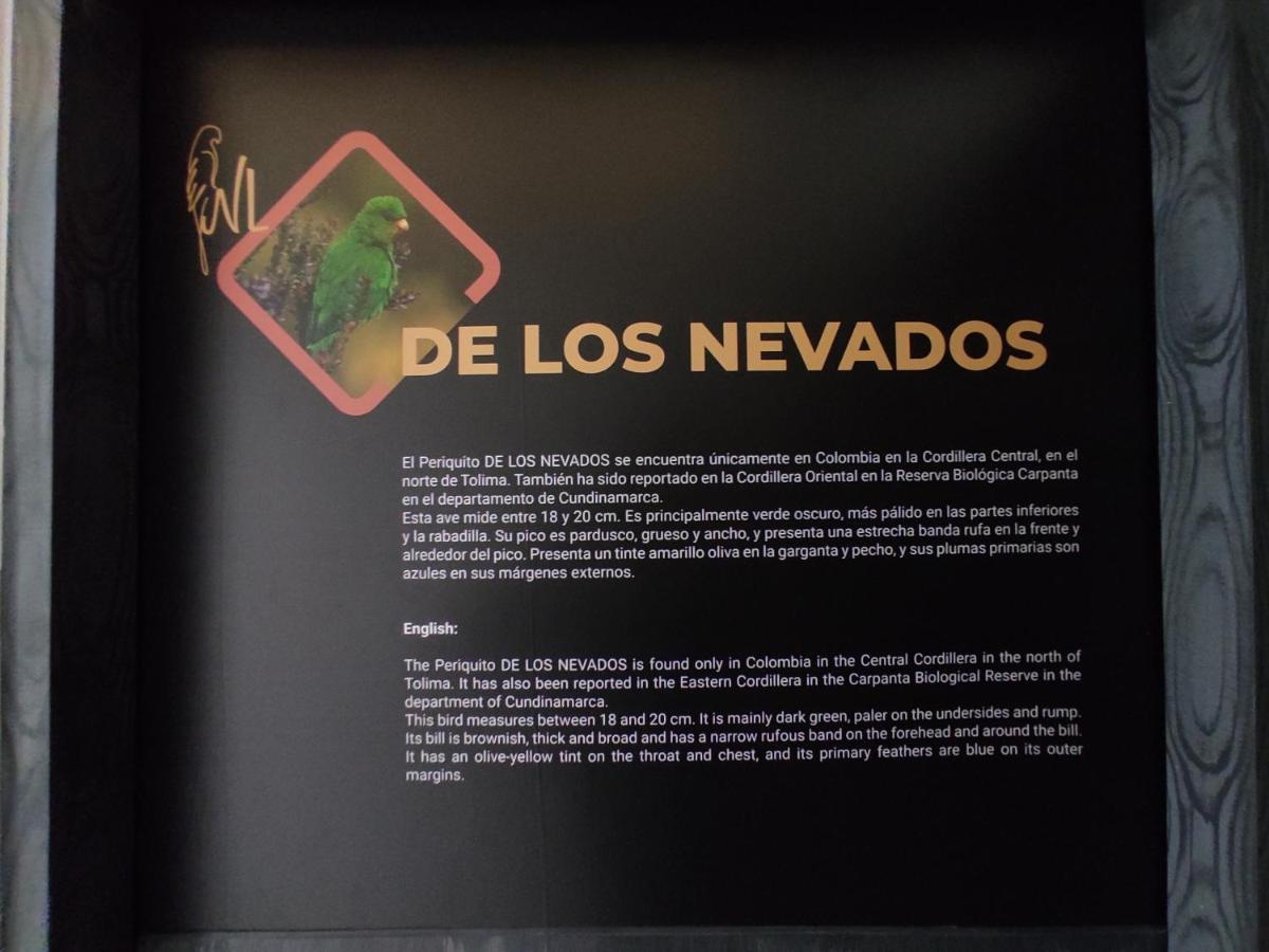Hostel Boutique Nido De Loros Medellín Dış mekan fotoğraf